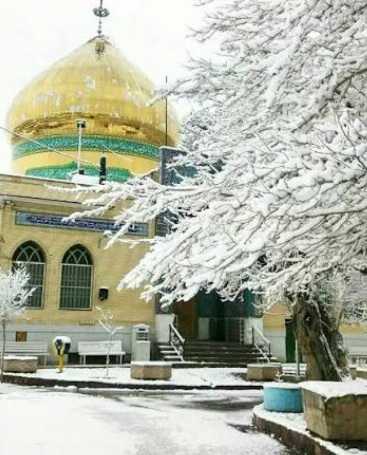 تصویر روستا
